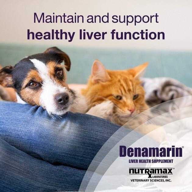 Liver Health Tablets Dogs A2521
