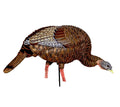 Turkey Decoy Z357046
