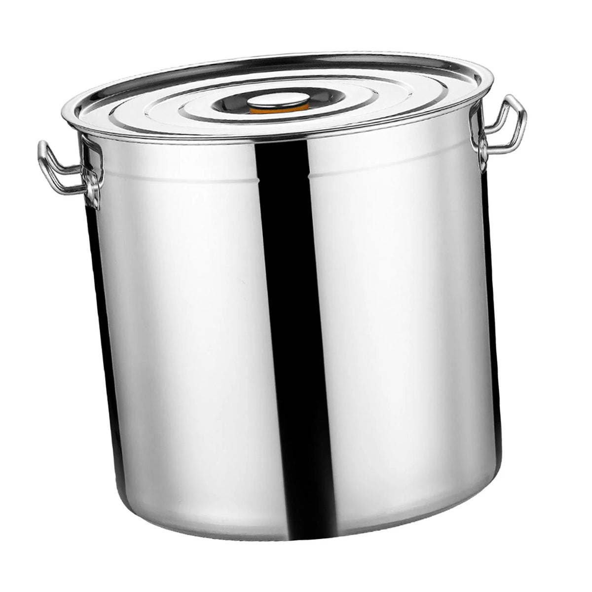 Stainless Steel Stockpot 30cm B64315
