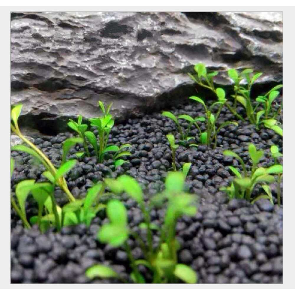 2 LB Freshwater Planted Aquarium Substrate A757055